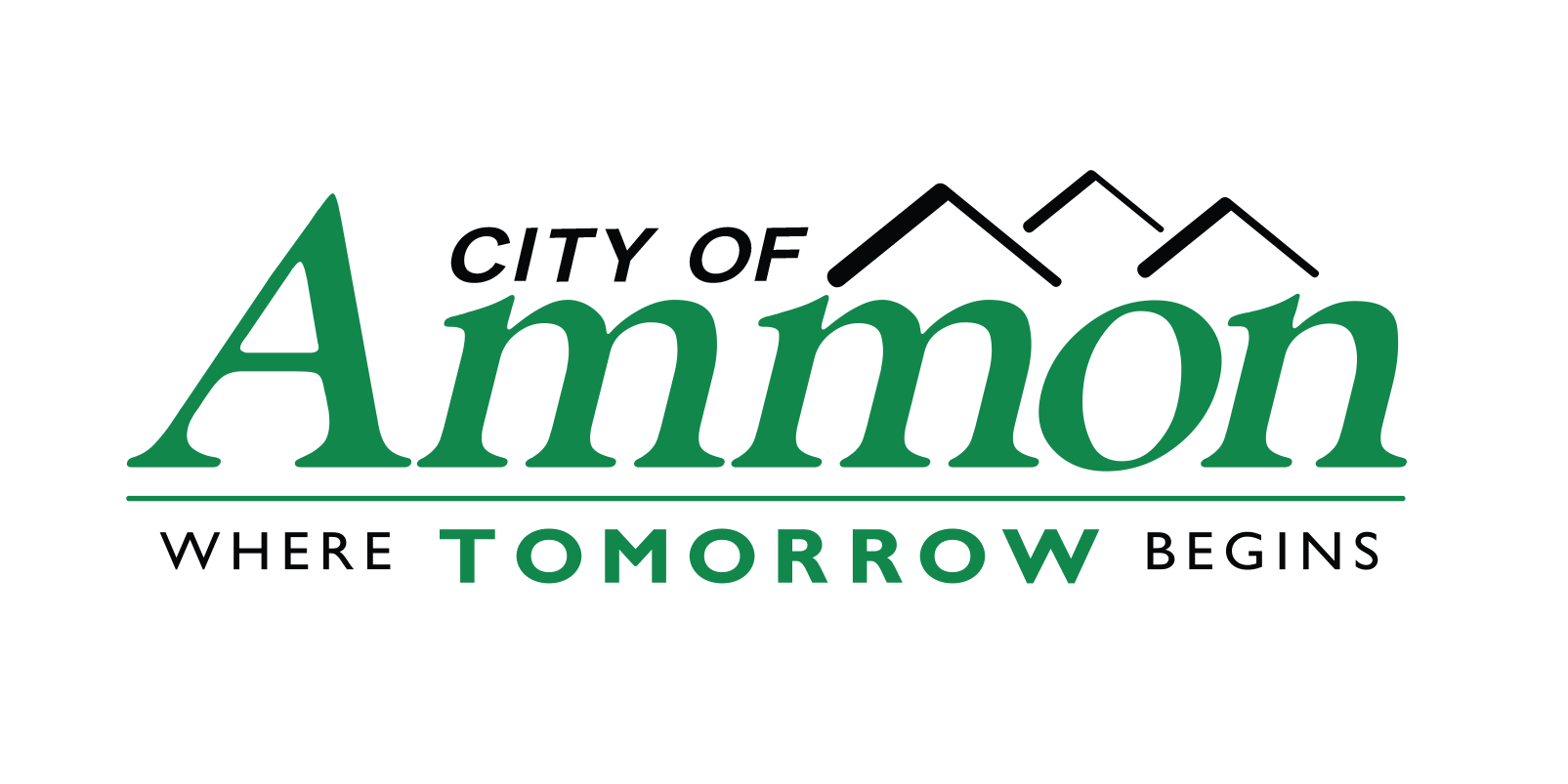 Ammon2019_Logo no background